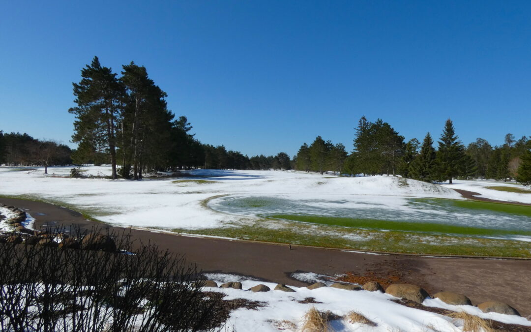 Course Update!