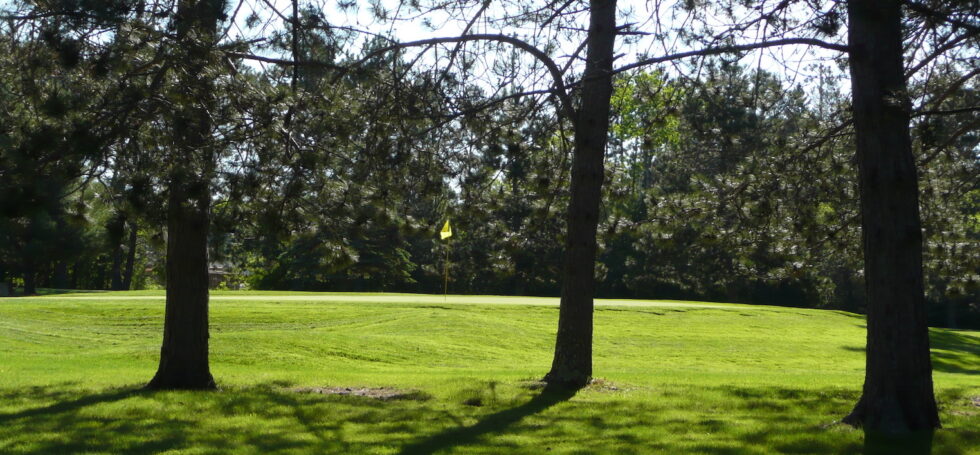 Blogs Hayward Golf Course