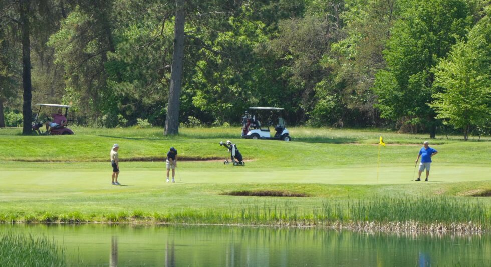 Hayward Open Results / U.S. Open Pool Hayward Golf Course