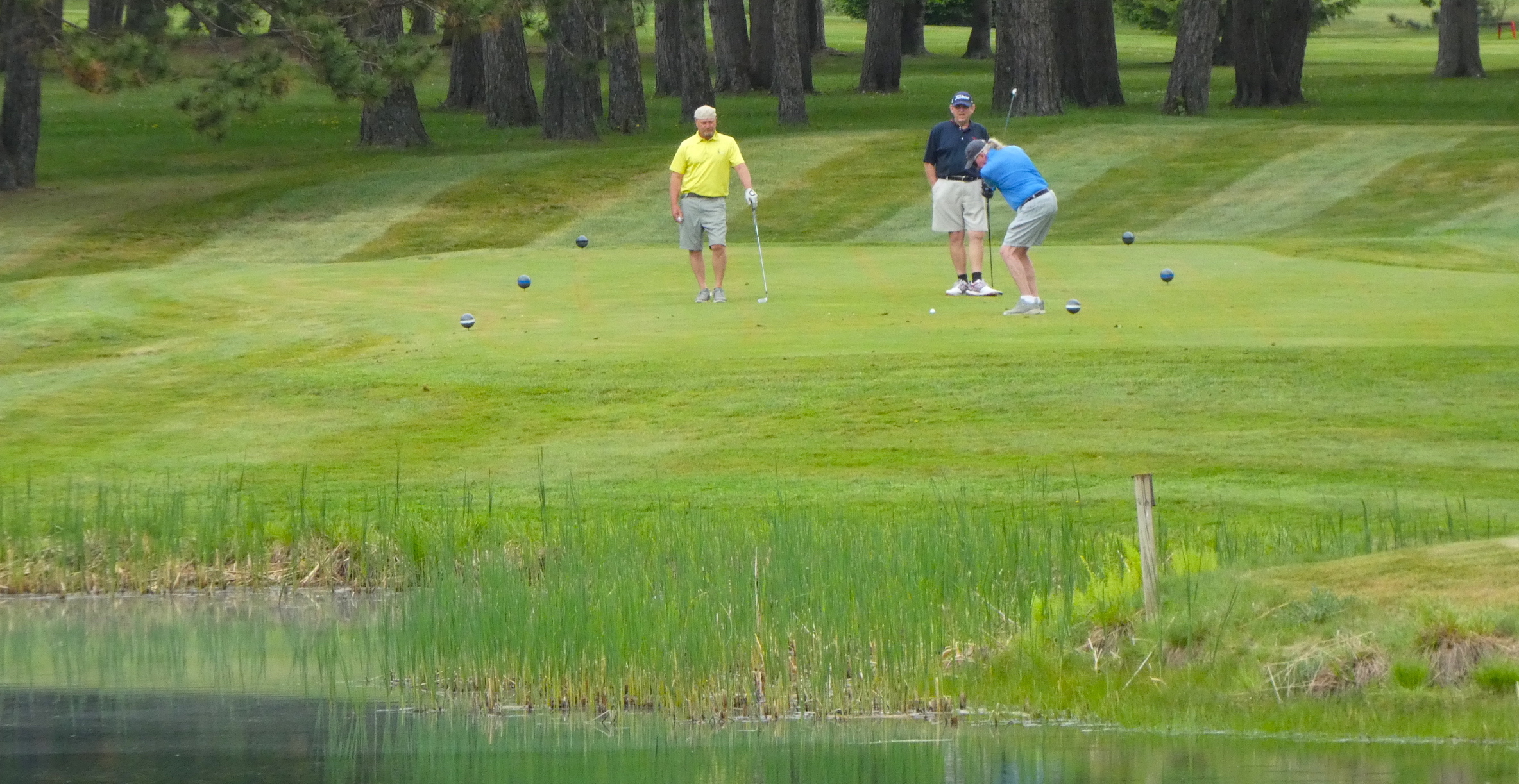 Bring a Group to Hayward Golf Course Hayward Golf Course Bring a Group to Hayward Golf Course Hayward Golf Course