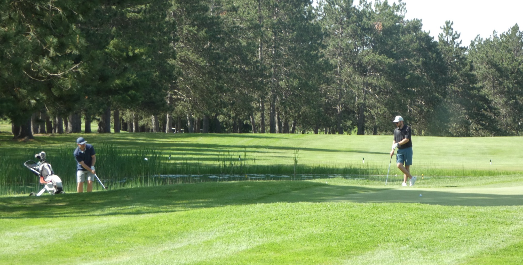 2024 Hayward Open Results U S Open Pool Hayward Golf Course