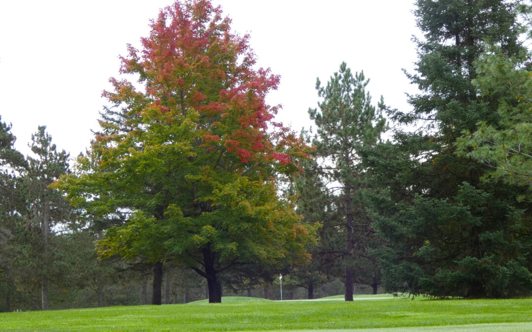 Enjoy Fall Golf at HGC!