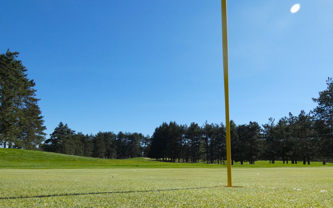 Reminder: Couples League Events Start This Sunday!