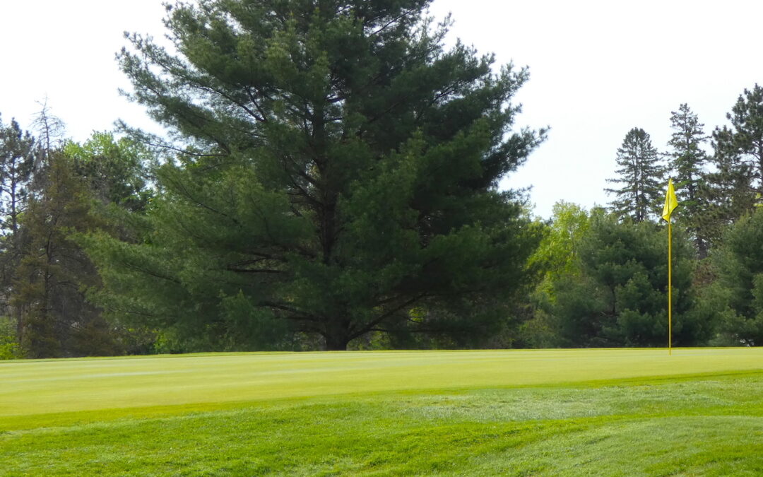 2025 Couples Club Championship: July 13th