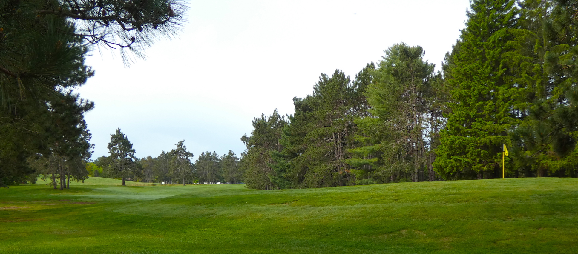 2025 Northwoods Match Play Challenge Sign Up Now Hayward Golf Course