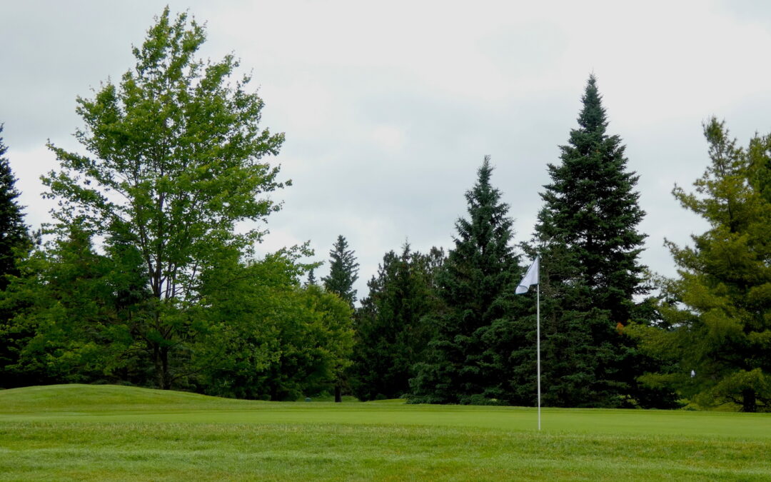 WANTED: Board of Directors Candidates