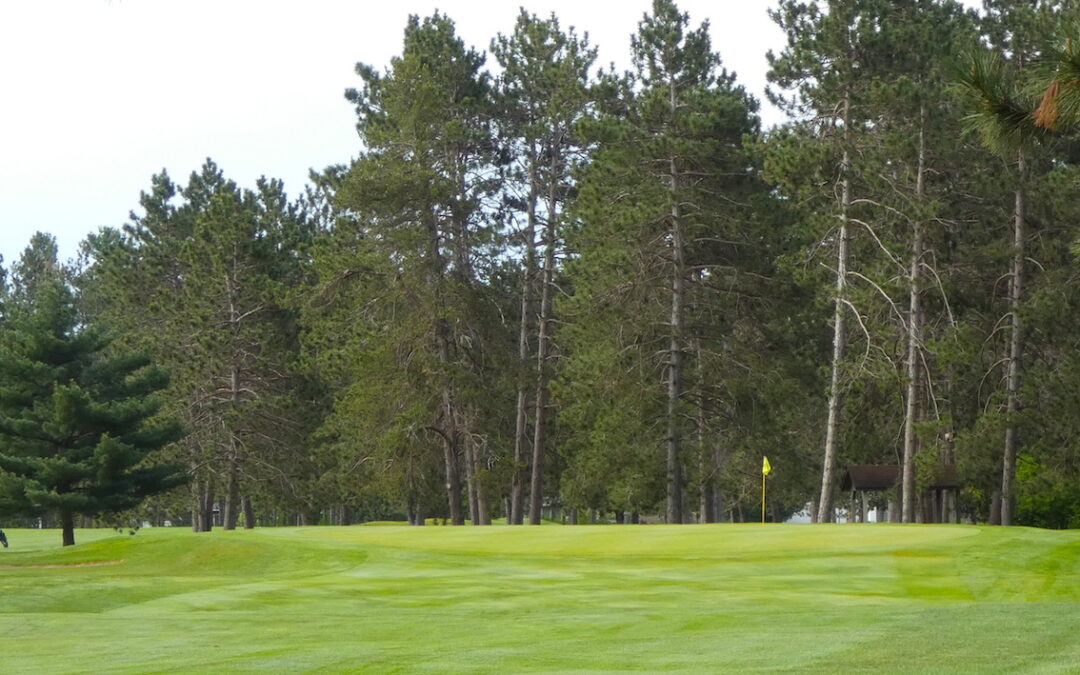 Junior Club Championship This Friday!