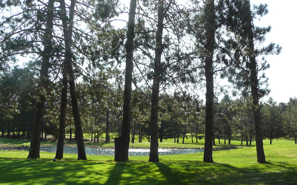 Men’s Club Championship Results