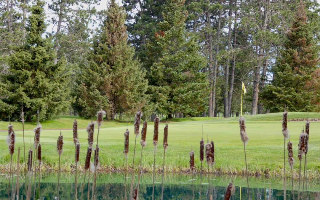 Recent Events Round-Up! Civic Benefit, Summer Classic, Night Golf & More!