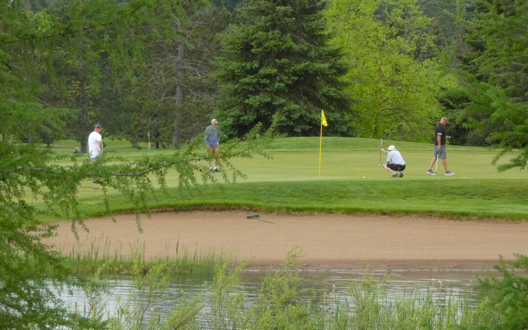 Board Election Results