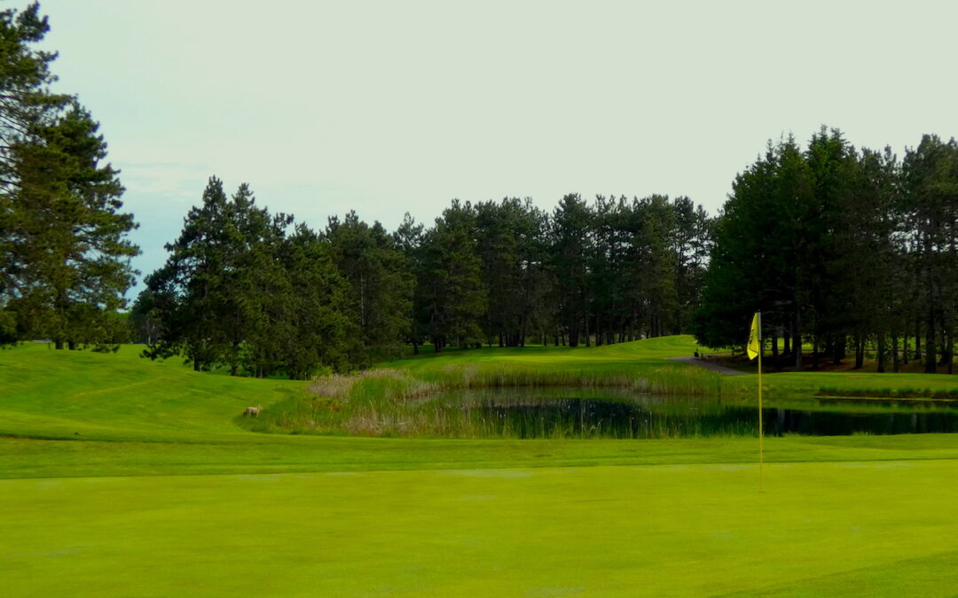 Recap of Recent Events: The Kuta, Men’s and Women’s 18-Hole Leagues, Black & Blue Cup