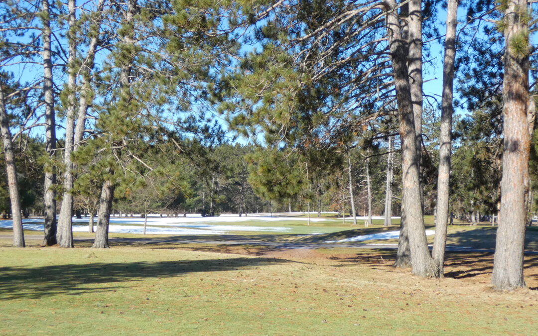 Late March Course Update