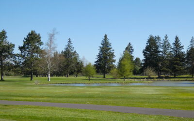 6 Spots Available for the Hayward Open!