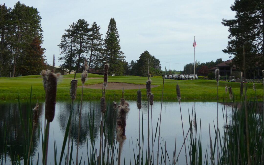 Recent Event Results: Board of Directors Election / Men’s Interclub / Solheim