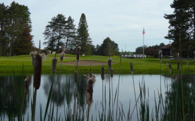 Recent Event Results: Board of Directors Election / Men’s Interclub / Solheim